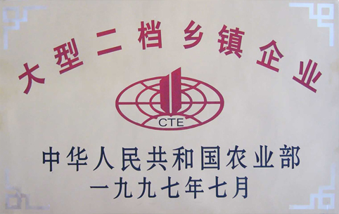 農業(yè)部大型二檔鄉(xiāng)鎮(zhèn)企業(yè)