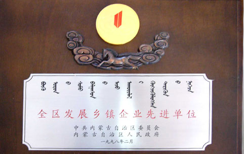 內(nèi)蒙古先進(jìn)鄉(xiāng)鎮(zhèn)企業(yè)