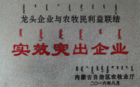 東達集團榮獲“實績突出企業(yè)”殊榮